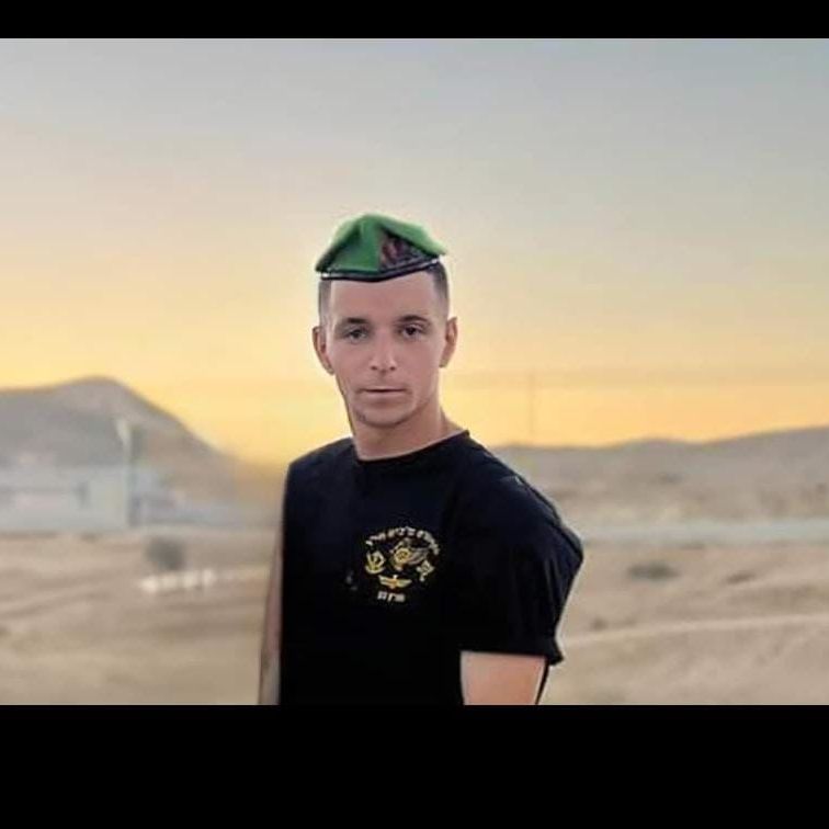 טל לוי